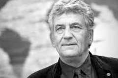 Domenico Ciruzzi