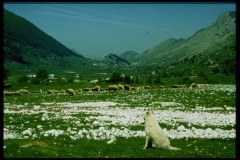 Foto di Giuliano Palumbo